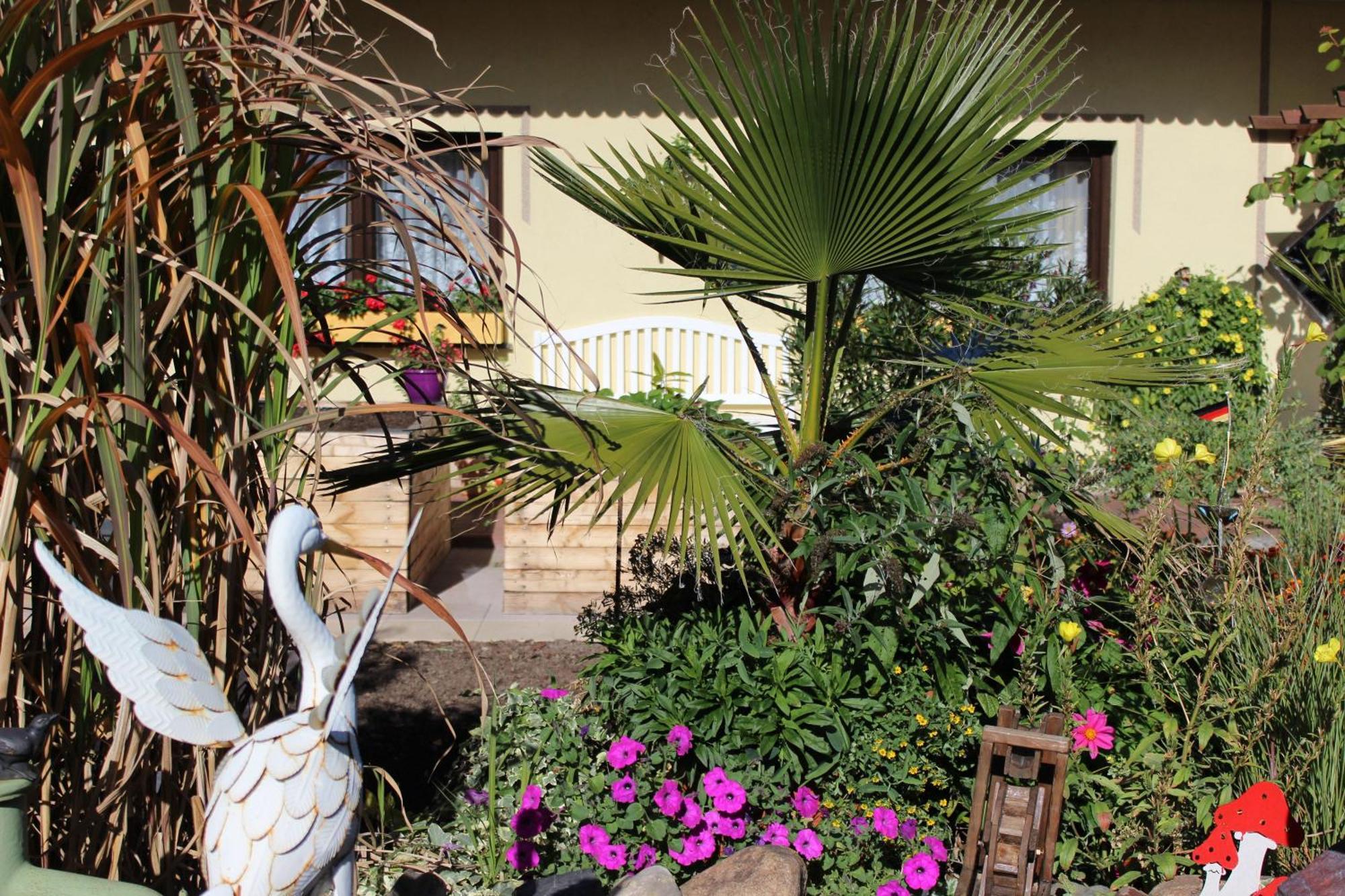 Ferienobjekte Familie Beck Apartamento Blankenburg  Exterior foto